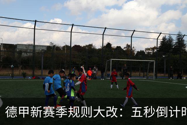 德甲新赛季规则大改：五秒倒计时 伤病离场1分钟 VAR权限再扩大